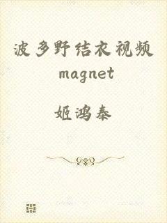 波多野结衣视频 magnet